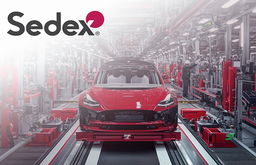 SEDEX验厂