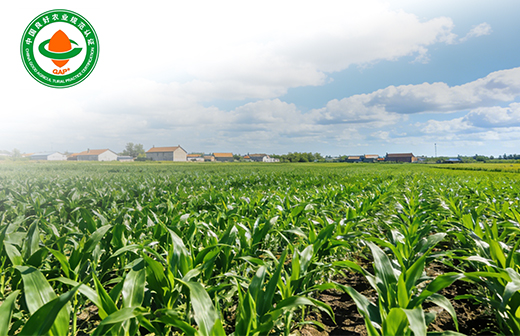 GAP认证(良好农业规范认证)