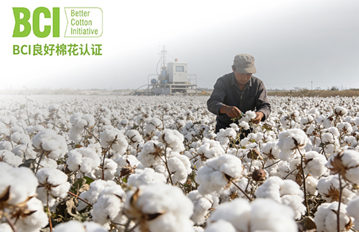BCI良好棉花认证